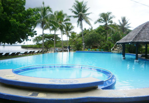 怎樣用吸污機對泳池有效去污？